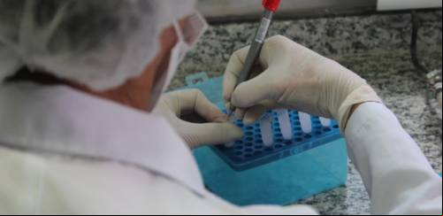 Pós-larvas: genética e metagenômica na aquicultura