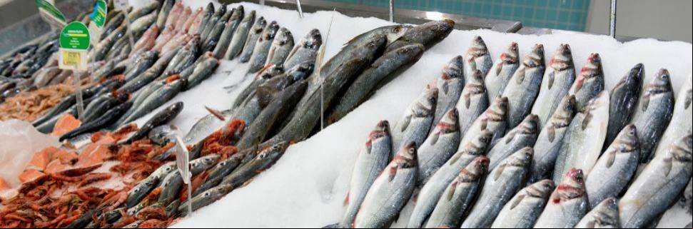 A importância da qualificação de fornecedores na qualidade do pescado 