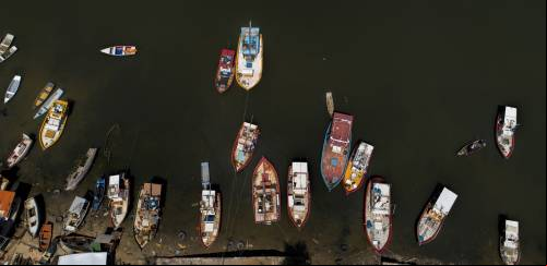 O Brasil não pode seguir pescando no escuro