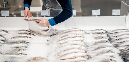 Um conselho para vender o seu peixe