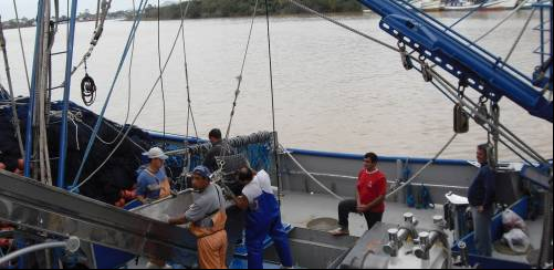 Evisceração a bordo de embarcações pesqueiras - parte I